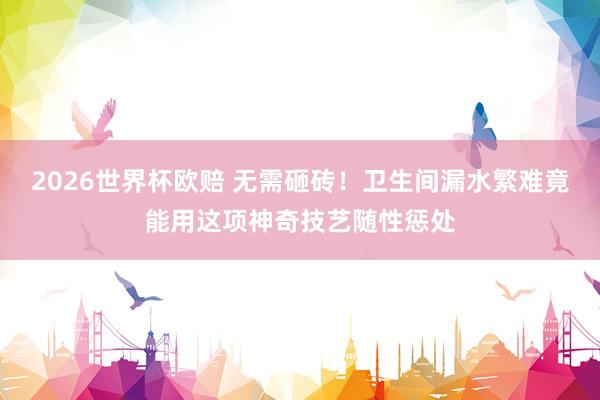 2026世界杯欧赔 无需砸砖！卫生间漏水繁难竟能用这项神奇技艺随性惩处