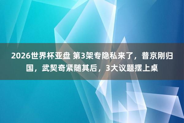 2026世界杯亚盘 第3架专隐私来了，普京刚归国，武契奇紧随其后，3大议题摆上桌
