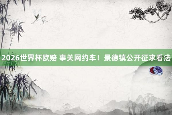 2026世界杯欧赔 事关网约车！景德镇公开征求看法