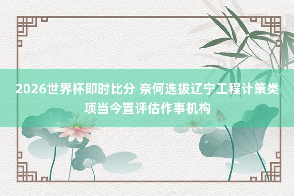 2026世界杯即时比分 奈何选拔辽宁工程计策类项当今置评估作事机构