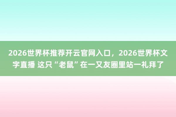 2026世界杯推荐开云官网入口，2026世界杯文字直播 这只“老鼠”在一又友圈里站一礼拜了