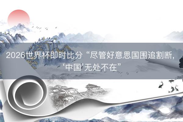 2026世界杯即时比分 “尽管好意思国围追割断， ‘中国’无处不在”